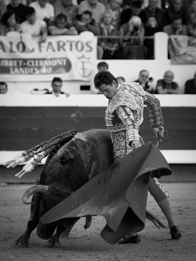Daniel luque dax 30x40 2024 william lucas 2 2