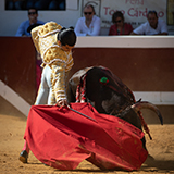 1 toro diego san roman 2019 william lucas 7