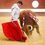 2 toro francisco montero 2020 william lucas 10