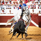 Guillermo hermoso de mendoza 2019 william lucas 4