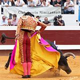 Img 5756