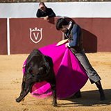 Tentadero juan pedro domecq con alvaro lorenzo 2018 william lucas 16