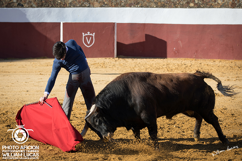 Tentadero juan pedro domecq con alvaro lorenzo 2018 william lucas 39